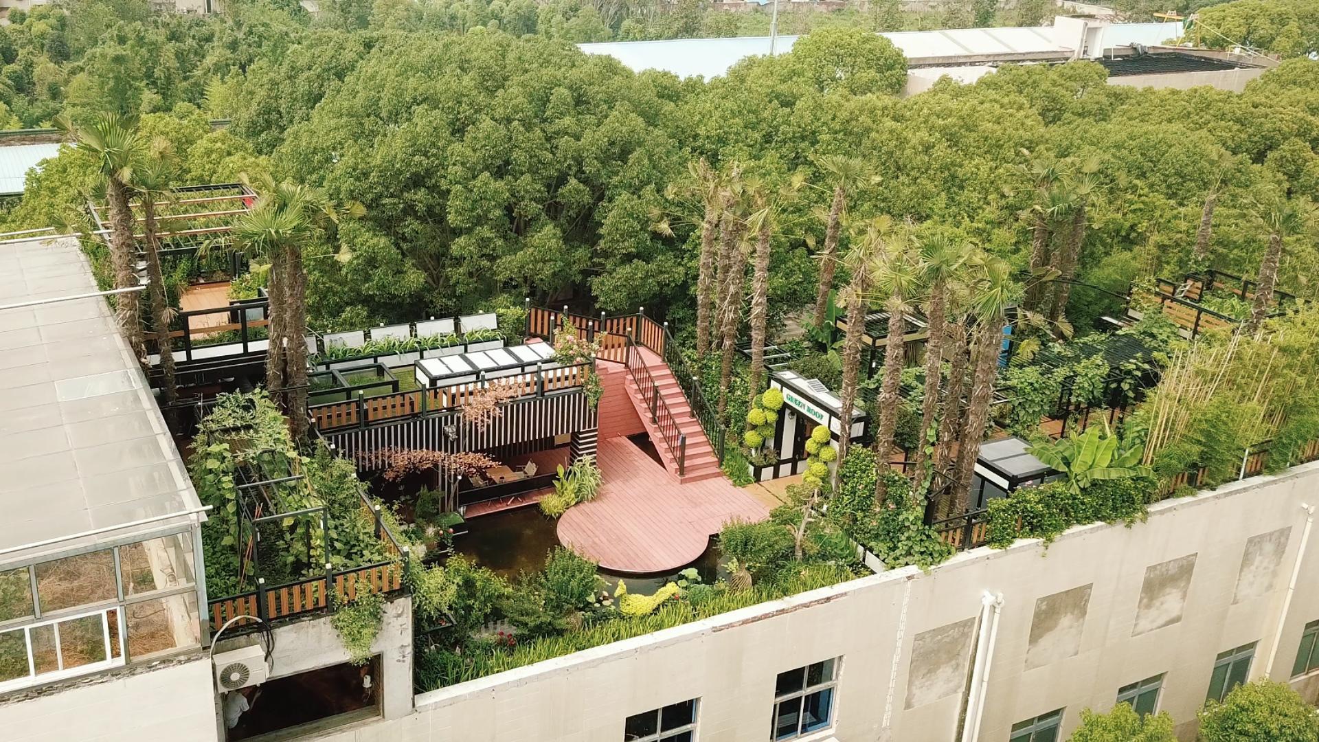 猴王屋顶空中俯视图