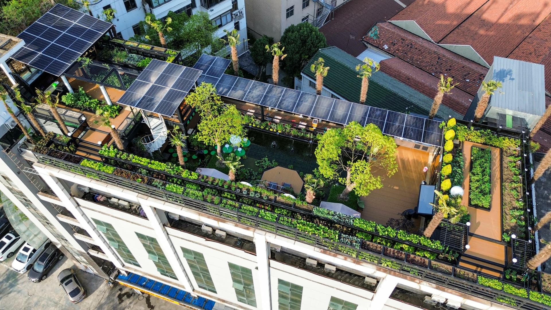 杨屋顶农场轴测图2